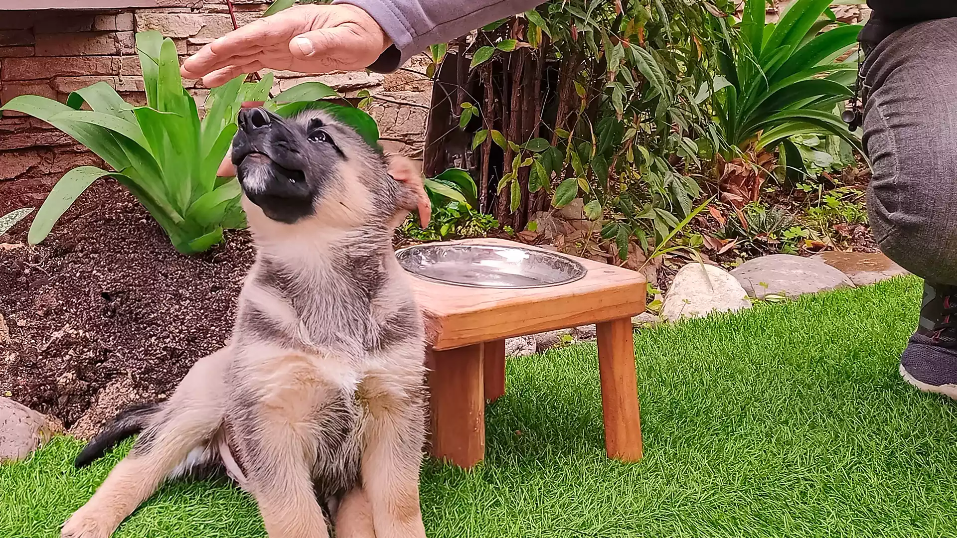Café restaurante en Quilpué con terraza pet friendly